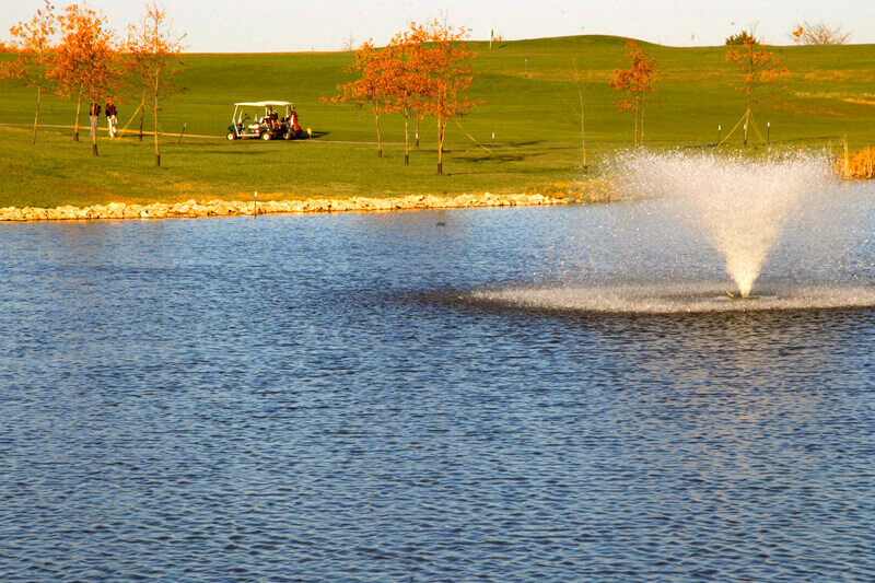 Golf course 5
