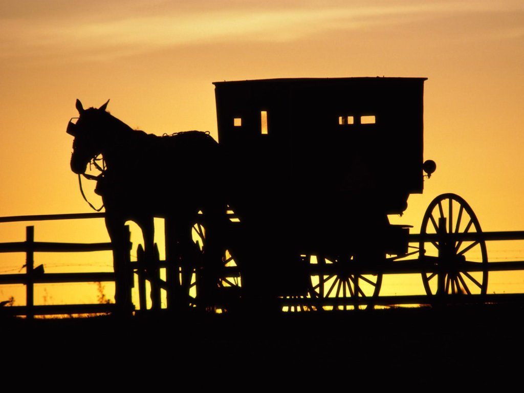 Missouri's Largest Amish Community - Jamesport, MO