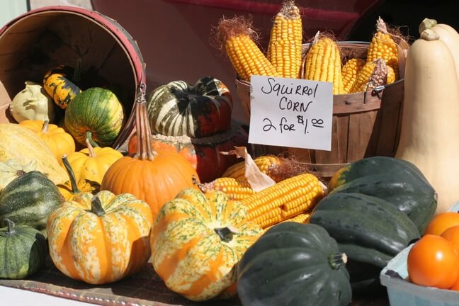 Fall Farmers Market