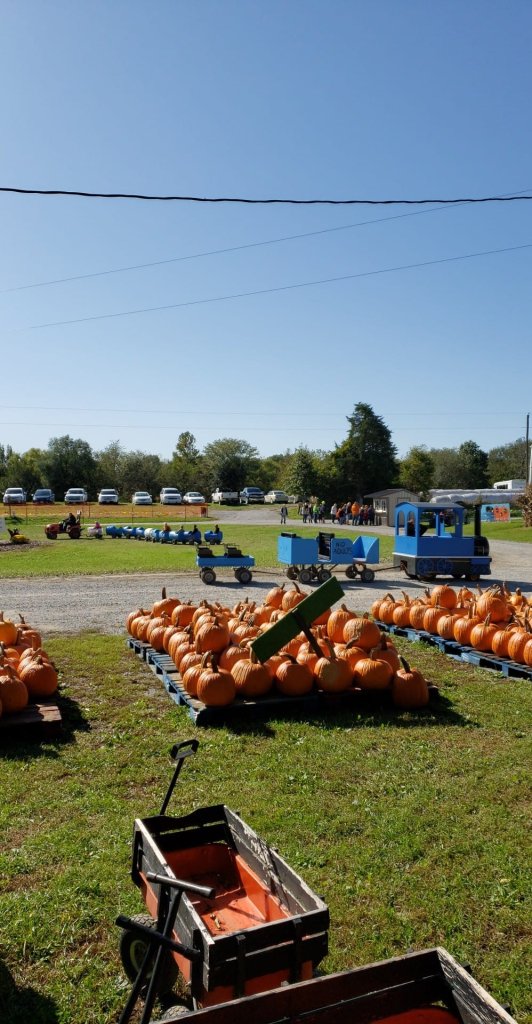 Image for All the Fall Fun—Freshly Sliced: Fall in Chillicothe, Missouri - Visit Chillicothe: Pumpkin Patch 1 532x1024