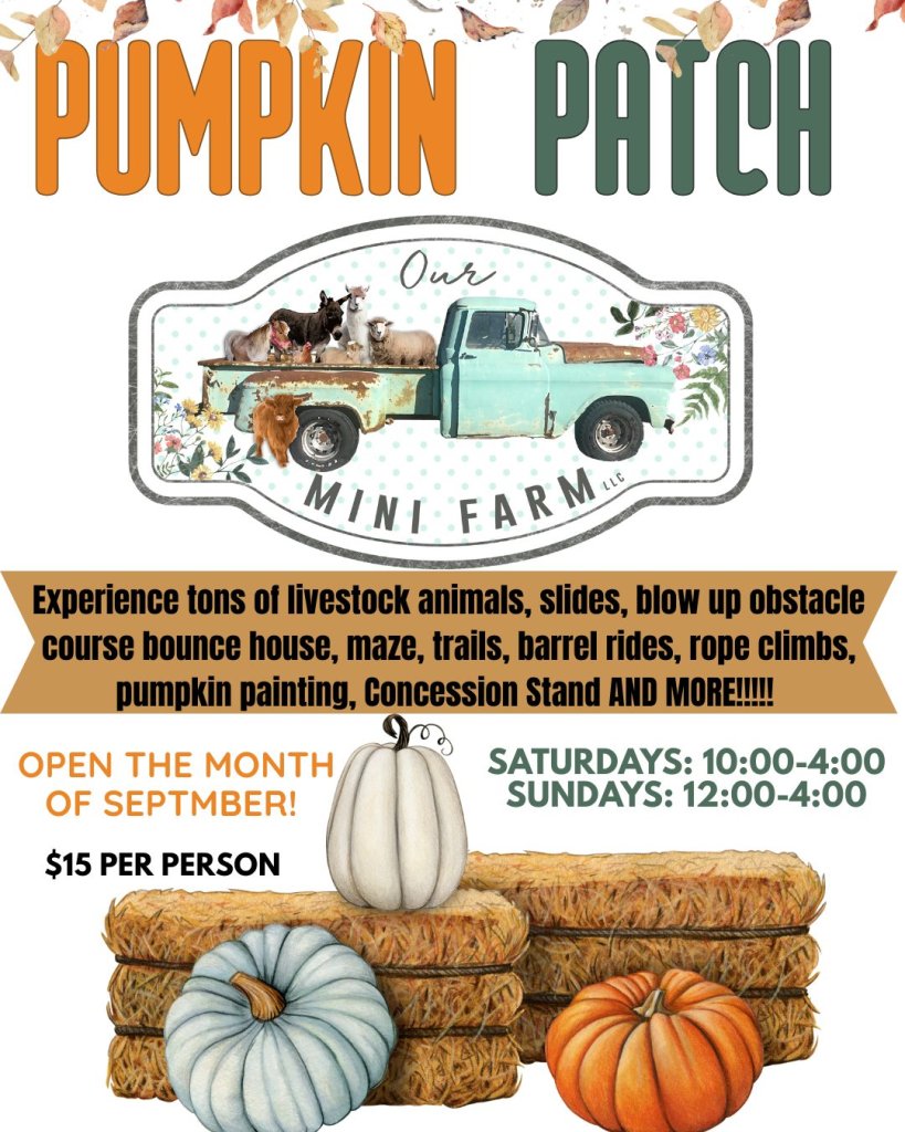 pumpkin