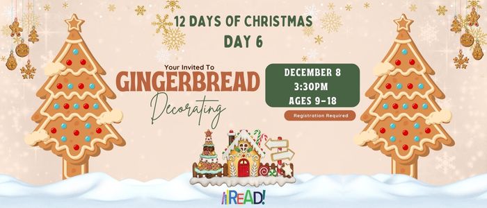 12 Days of Christmas All 700 x 300 px 17